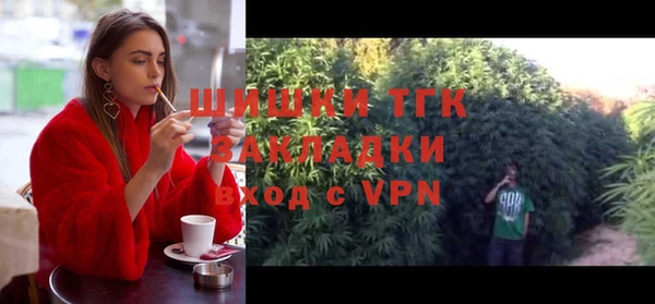 сатива Пролетарск
