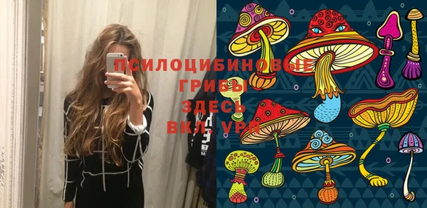 дурь Ладушкин