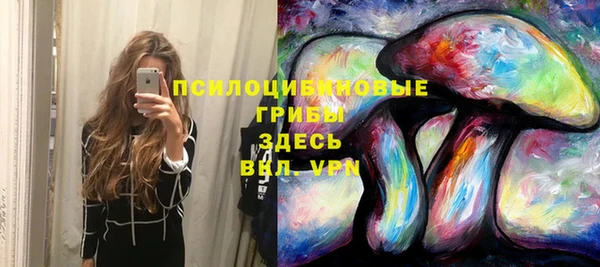 ГАЛЛЮЦИНОГЕННЫЕ ГРИБЫ Верхний Тагил