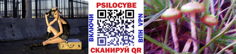 Галлюциногенные грибы Psilocybine cubensis  Пионерский 